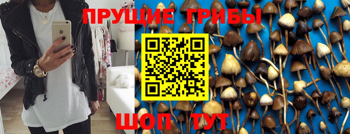 Галлюциногенные грибы Cubensis  Псилоцибиновые грибы Cubensis  Вход с VPN  купить  цена  Норильск 
