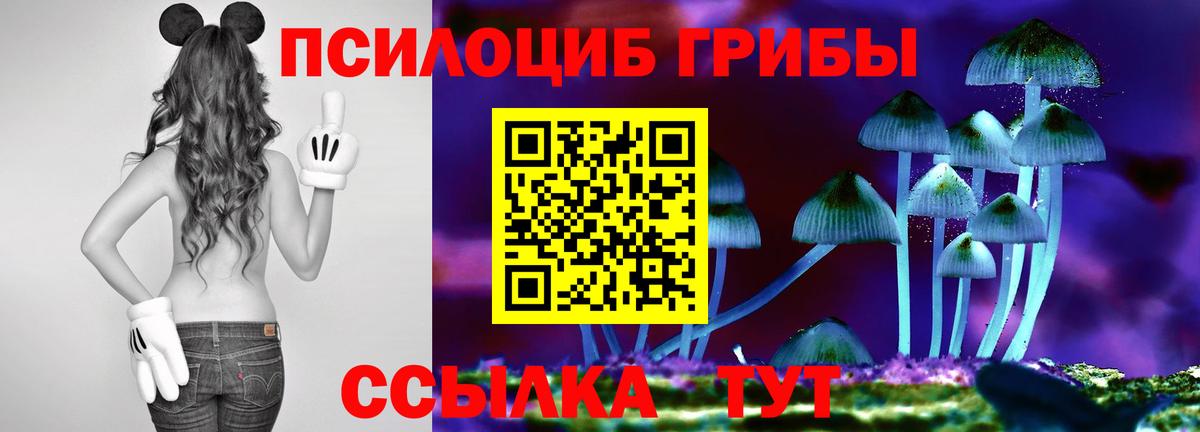 Магазин наркотиков  A PVP СОЛЬ   Экстази  Норильск  Меф   ГАШ  COCAIN  Вход с VPN  Марихуана 